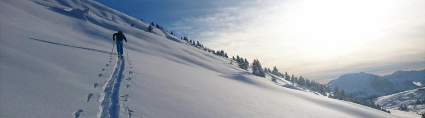 Ski touring